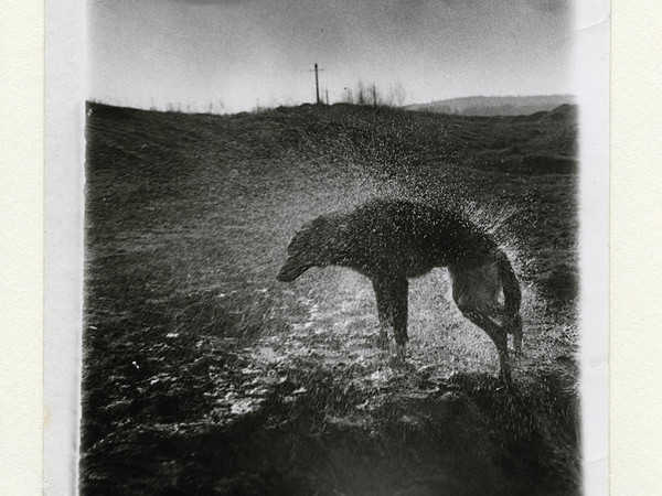 Boris Mikhailov, Senza titolo, dalla serie Black Archive, 1968–79. © Boris Mikhailov. Courtesy Camera - Centro Italiano per la Fotografia