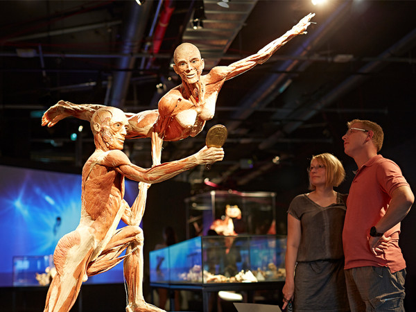 BODY WORLDS - Il Ritmo della Vita, Galleria dei Mosaici - Stazione di Milano Centrale