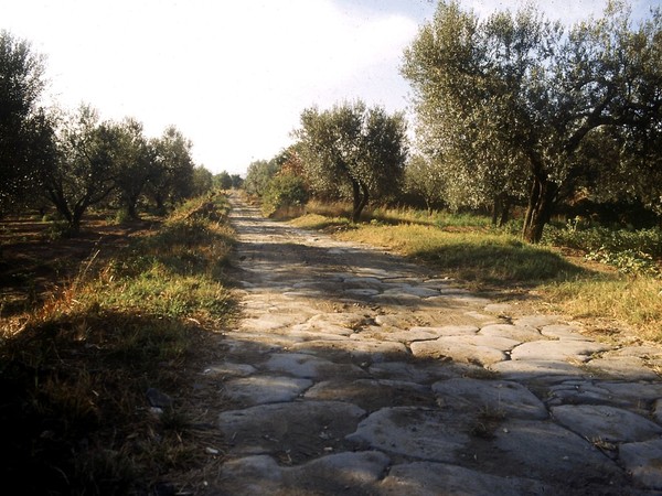 La bisaccia del pellegrino: Francigena 2014, l’Europa a piedi verso Roma