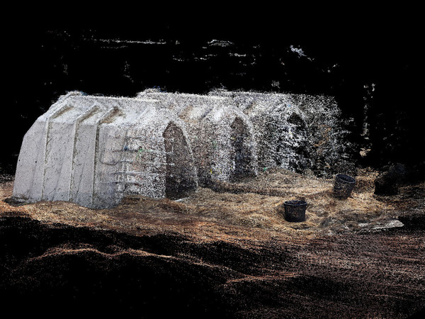 Daniel Szalai, <em>Calf Igloos</em>, from the series <em>Unleash Your Herd’s Potential</em>