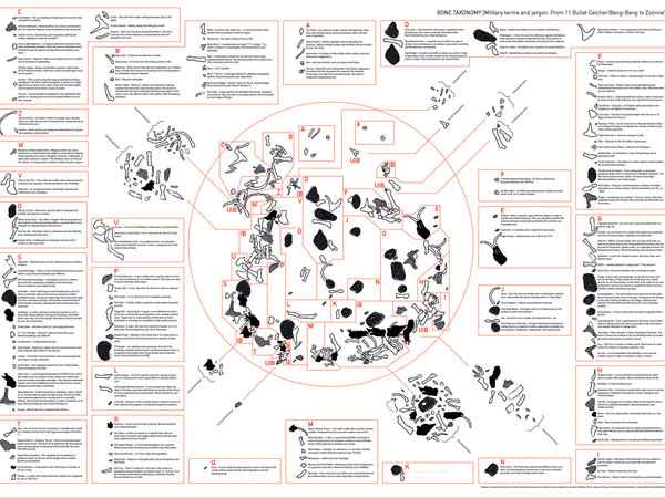 Zbyněk Baladrán, Taxonomy of bones, 2020, stampa su cartone, 70x100 cm. Courtesy l’artista