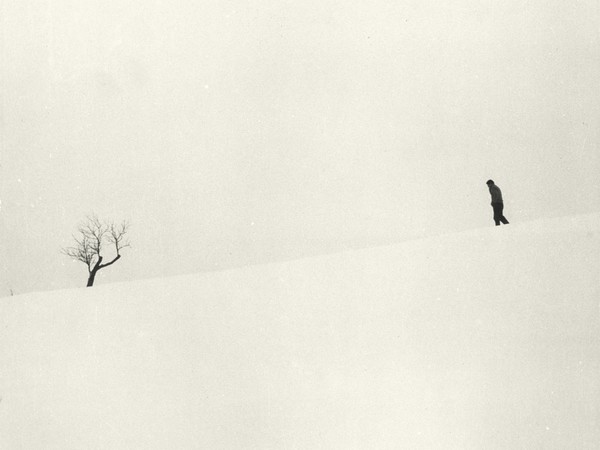 Luciano Ferri per Studio Villani, Albero nella neve, Stampa alla gelatina bromuro d’argento su carta | © Archivi Alinari / Archivio Villani