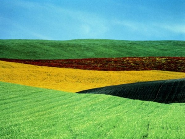 © Franco Fontana