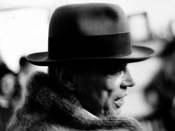 Joseph Beuys, Difesa della Natura