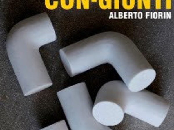 Alberto Fiorin. Con-giunti