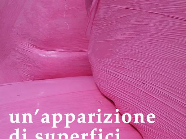  Luca Panaro, Un'apparizione di superfici 