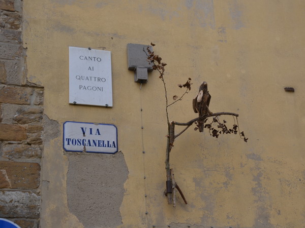 Il Sedicente Moradi, URBAN JUNGLE uccello, assemblaggio di rami e foglie. Piazza della passera, Firenze - 11 ottobre 2014