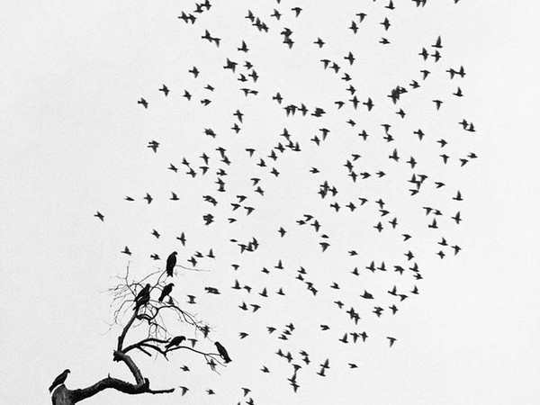 © Pentti Sammallahti