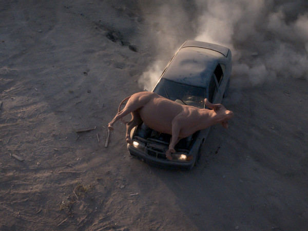 Nico Vascellari, Horse Power, 2019, Still da video 