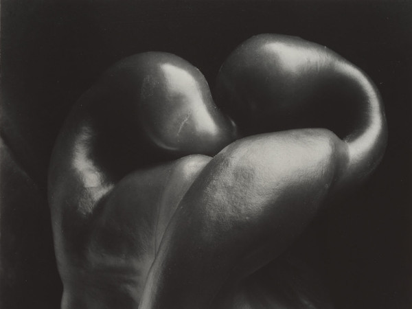 Edward Weston, Pepper No. 30, 1930, Stampa alla gelatina d'argento | © Center for Creative Photography, Arizona Board of Regents