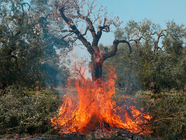 <em>Piero Percoco, L'arcobaleno è sottovalutato</em> | Courtesy Leica Camera Italia