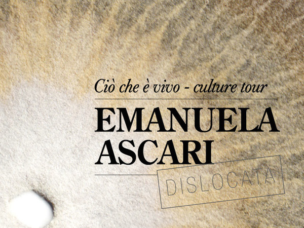 Emanuela Ascari. Ciò che è vivo - culture tour