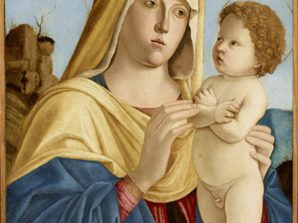 Giovanni Battista Cima da Conegliano, Madonna col Bambino, circa 1495-1500, olio su tavola, collezione Lochis, 1866