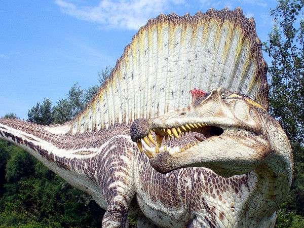 Spinosaurus di Geo-Model