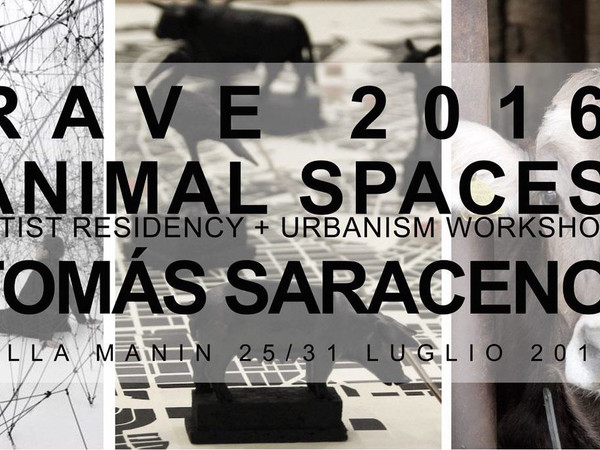 Rave 2016 Animal Spaces - Tomàs Saraceno