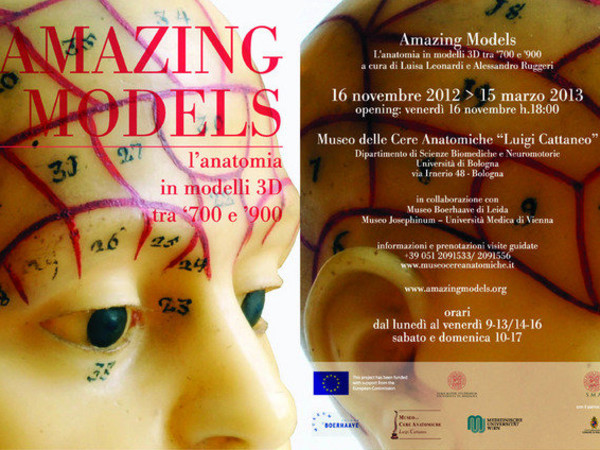 Amazing Models, Museo delle Cere Anatomiche Luigi Cattaneo, Bologna