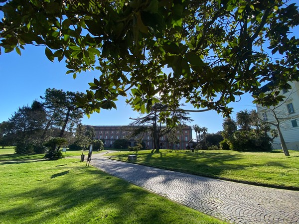 Museo e Real Bosco di Capodimonte, Napoli I Ph. Giovanna Garraffa