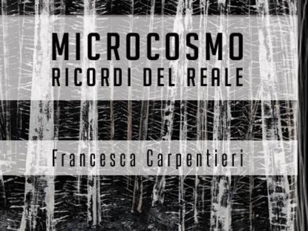 Francesca Carpentieri. Microcosmo. Ricordi del reale