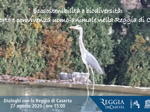 Ecosostenibilità e biodiversità: rapporto e convivenza uomo-animale nella Reggia di Caserta