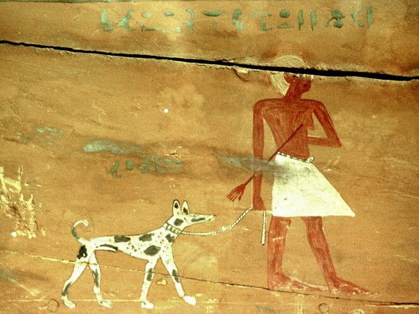 Raffigurazione di un cane nella cosiddetta Tomba di Khui, Necropoli reale di Dara, Medio Egitto, Primo periodo intermedio (?)
