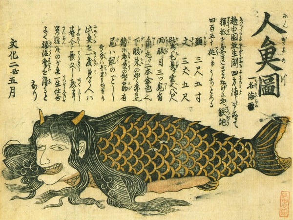 Illustrazione di anonimo, 1805, Waseda University Theatre Museum | Rappresentazione di un enorme Ningyo che sarebbe stato catturato nella Baia di Toyama e che secondo il testo di accompagnamento avrebbe misurato ben 10.6 metri di lunghezza.