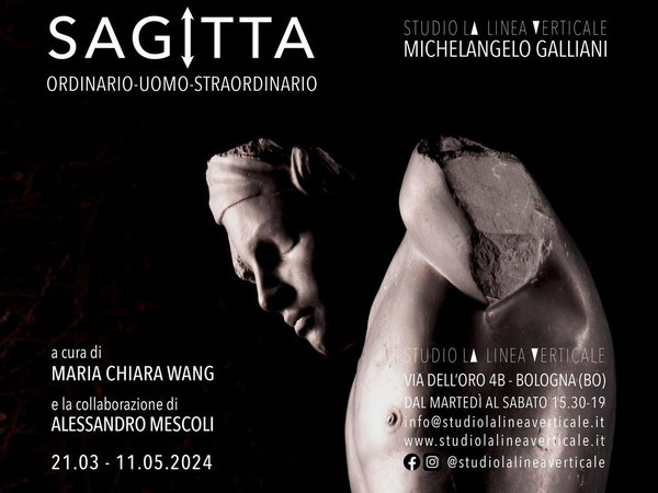 Michelangelo Galliani. Sagitta. Ordinario-uomo-straordinario, Studio la Linea Verticale, Bologna