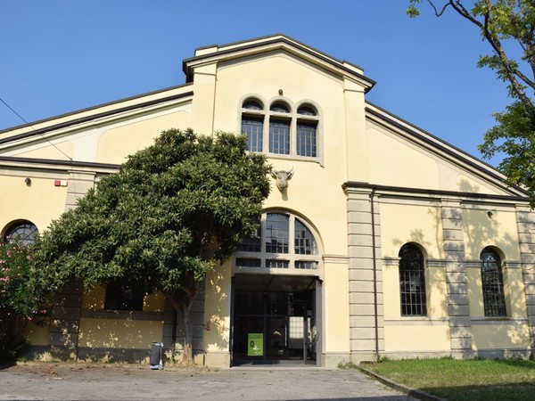 Cattedrale ex Macello, Padova