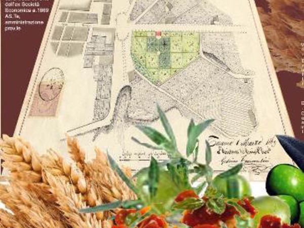 Dalla Coltivazione all'Alimentazione secc.XVIII-XX, Archivio di Stato di Teramo