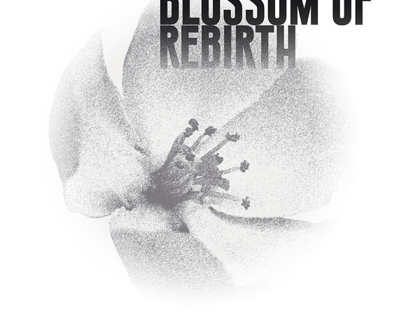 Blossom of Rebirth, Museo della Carta e della Filigrana, Fabriano