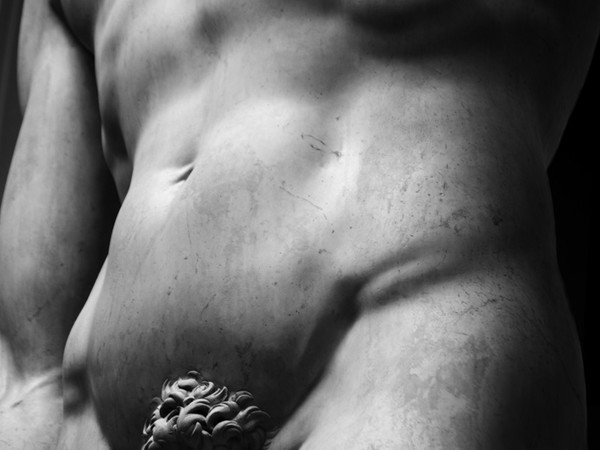 Nico Vigenti, David di Michelangelo