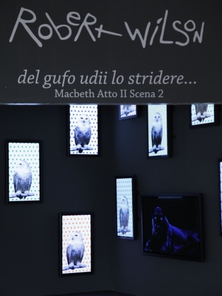 Robert Wilson. Del gufo udii lo stridere