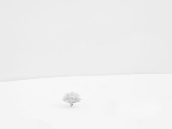 Mario Daniele. Bianca neve, metafora del silenzio, Riccardo Costantini Contemporary, Torino
