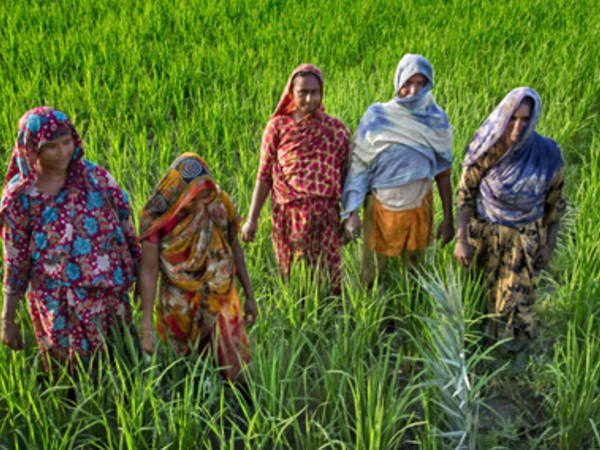 Girls not brides. Spose bambine in Bangladesh