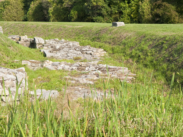Mura