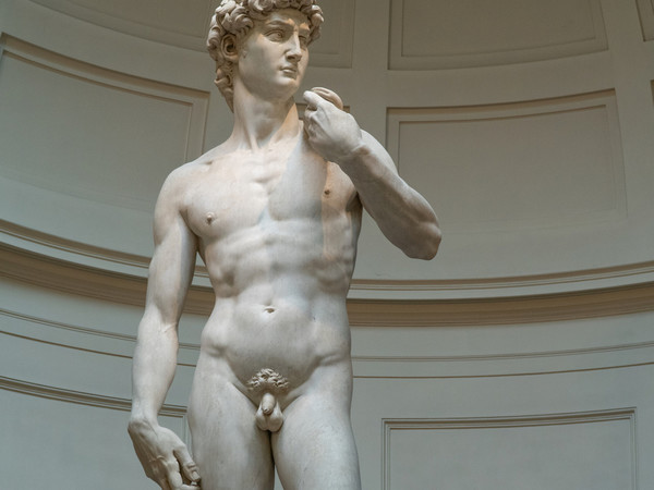 David di Michelangelo I Ph. Sandro Nardoni