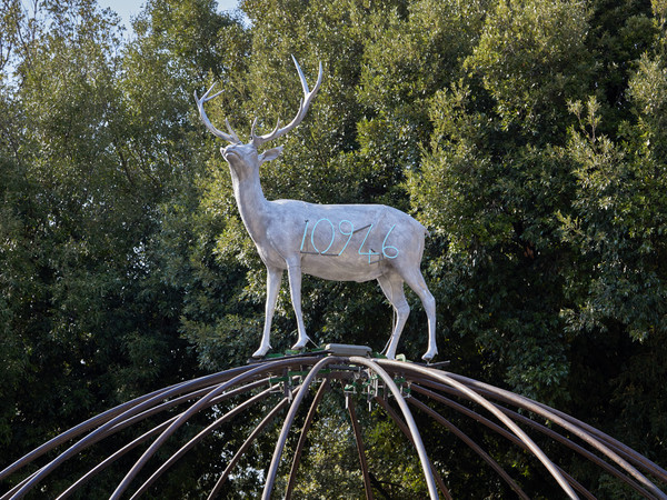 Back to nature,Mario Merz, Senza titolo (Igloo di Oporto),1998, Roma, Villa Borghese | Foto: © Simon d’Exéa