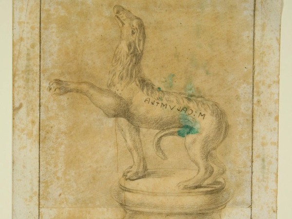  Il Cane “Calustla” (DER drawing 61.1), XVIII secolo. Disegno, inchiostro e matita. Norfolk, Holkham Hall
