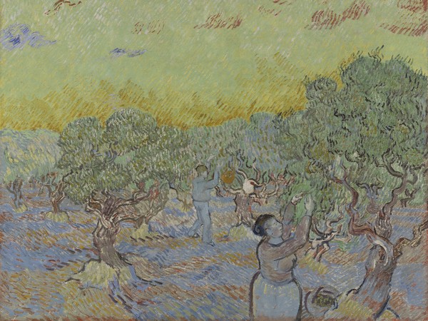 Vincent van Gogh, Oliveto con due raccoglitori di olive, Dicembre 1889, Olio su tela, Otterlo Museum