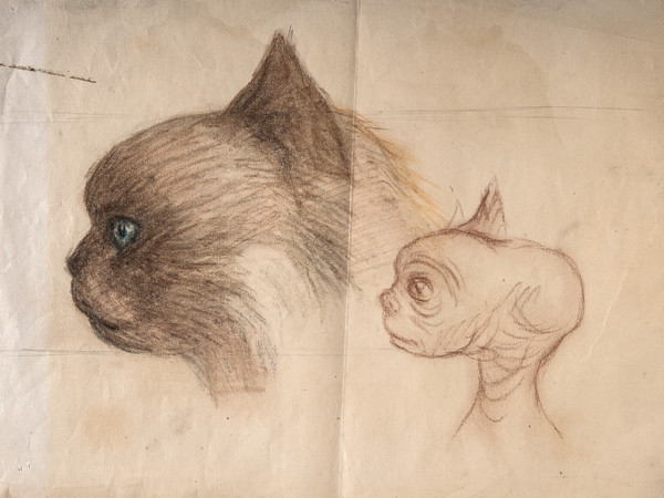 Carlo Rambaldi, Da gatto Kikka a ET, Studio per il volto di ET rielaborando il muso della sua gatta | © Fondazione Culturale Carlo Rambaldi