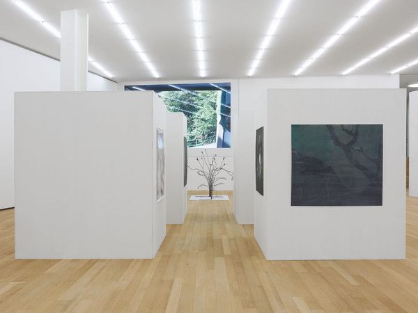 Peter Wächtler, Up the Heavies, 2019. Installation view, Fondazione Antonio Dalle Nogare, Bolzano