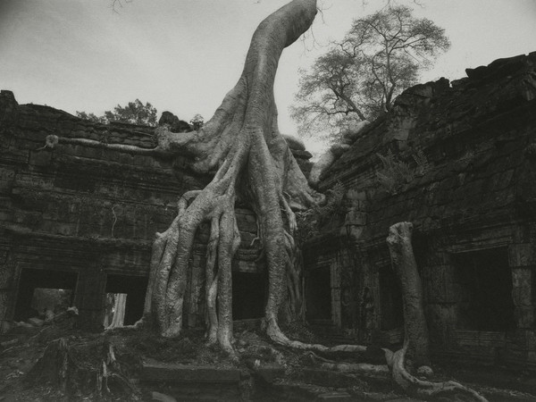 Kenro Izu, Angkor #26, Cambodia, 1993, dalla serie “Sacred Places”, stampa ai pigmenti, 72x102 cm