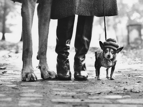 Elliott Erwitt, <em>USA, New York</em>, 1974 | © Elliott Erwitt