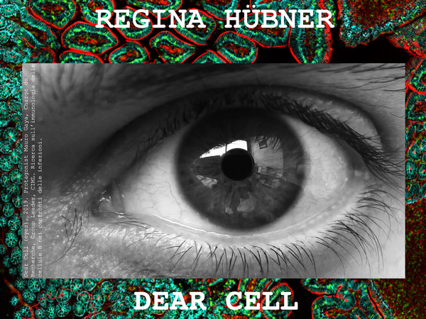 Regina Hübner. Dear Cell, Forum Austriaco di Cultura, Roma