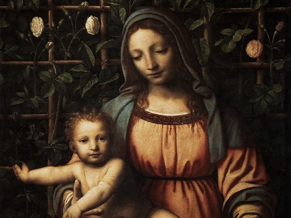 Bernardino Luini, Madonna con il Bambino (Madonna del roseto), 1516?1517 circa, tavola, cm 70 x 63. Milano, Pinacoteca di Brera
