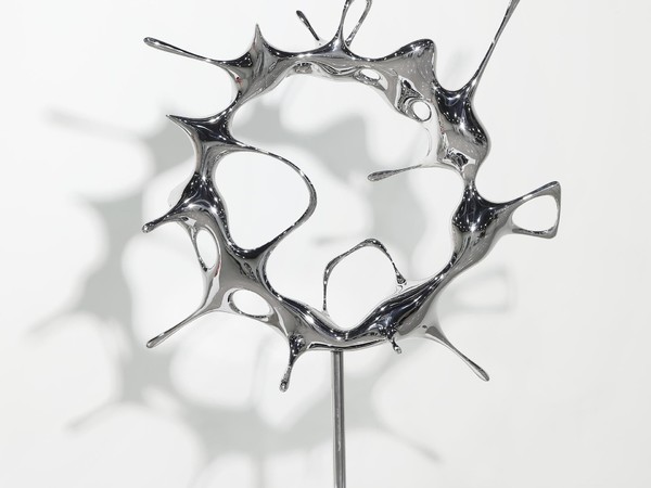 Kim SeungHwan, Organism, 2021, acciaio, 82x25x77 cm.