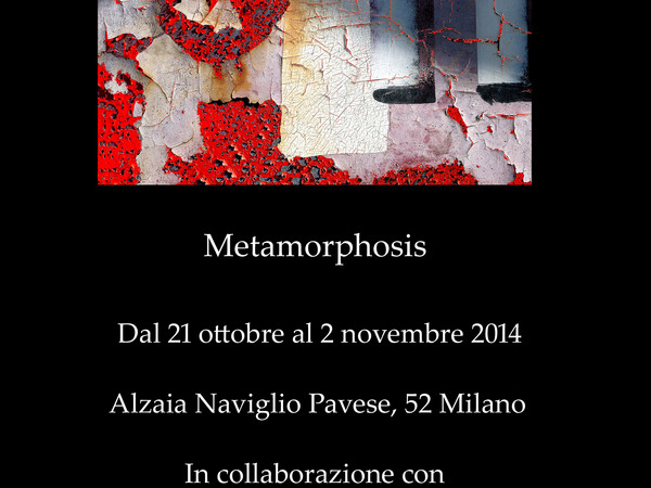 Mark Cooper. Metamorphosis, Spazio Biennale, Milano