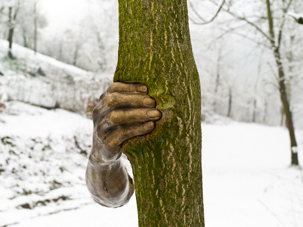 Giuseppe Penone, Continuerà a crescere tranne che in quel punto, 1968-2003