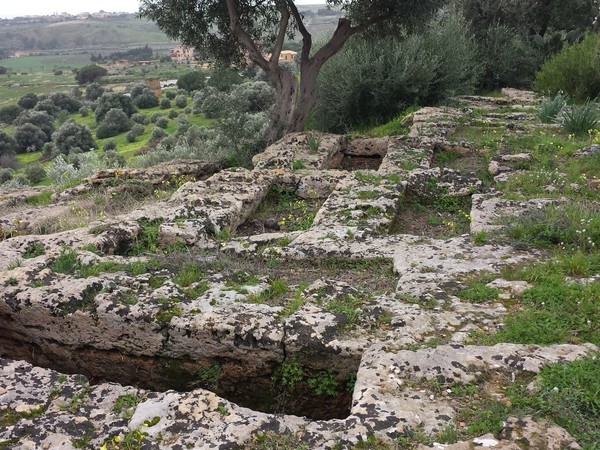 Risultati immagini per villa aurea valle dei templi