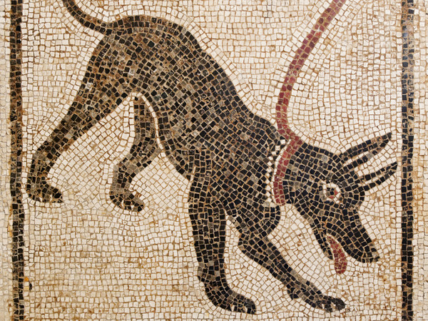 Cave canem, Mosaico proveniente dalla Casa di Orfeo a Pompei, MANN - Museo Archeologico Nazionale di Napoli | Foto: Marie-Lan Nguyen via Wikimedia Creative Commons