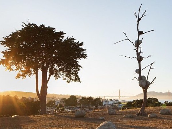 Giuseppe Penone, Idee di pietra (Ideas of Stone), 2004, installation view. Fort Mason, San Francisco, 2019–21 I Ph. Archivio Penone